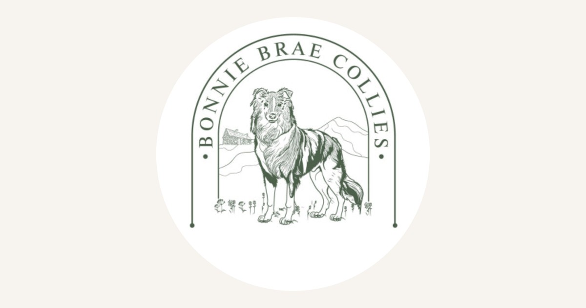 Bonnie Brae Collies
